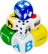 Custom Screen Printed Dice